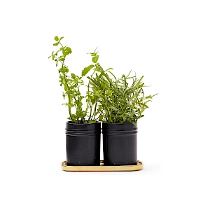 Yrttisetti Monte Yrttiruukut lahjaksi