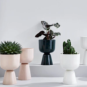 Iittala Nappula ruukku