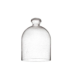 Iittala Lasikupu 160x220mm kuplalasi