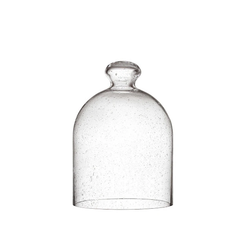 Iittala Lasikupu 160x220mm kuplalasi