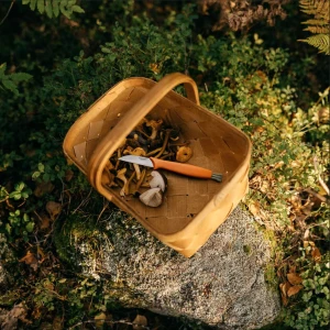 Fiskars sieniveitsi 21 cm, oranssi