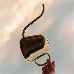 Iittala Nappula Kastelukannu messinki 2l