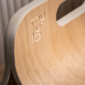 Muurla Kantaja-säilytin