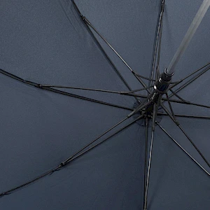 Sateenvarjo Vanadi auto