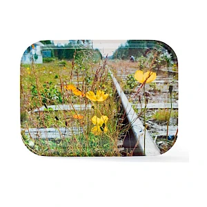 Tarjotin omalla painatuksella Tarjotin omalla aineistolla