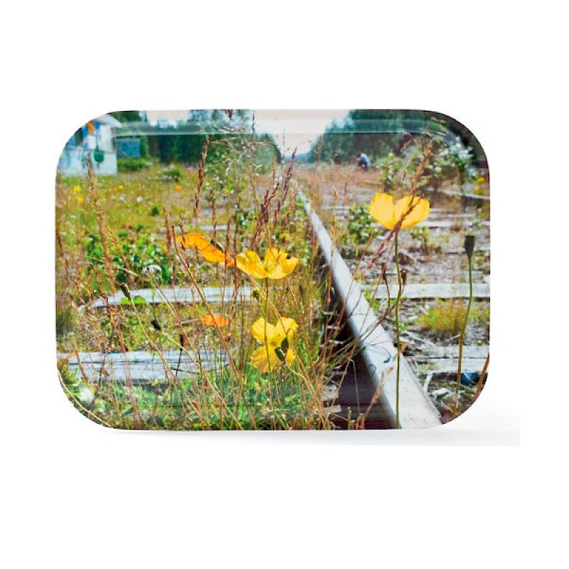 Tarjotin omalla painatuksella Tarjotin omalla aineistolla