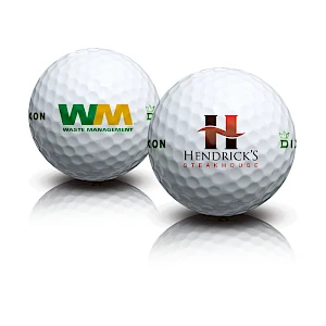 Dixon Earth Ekogolfpallo