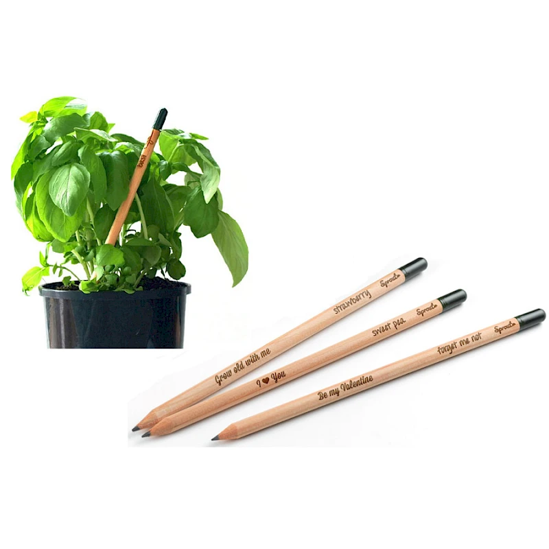 Sprout kynä Istutettava kasvikynä