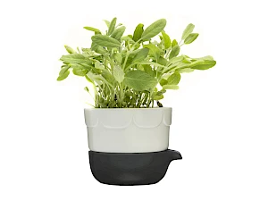 Green 2-osainen yrtti-/kasvatusruukku