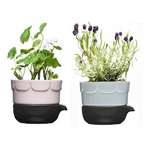 Green 2-osainen yrtti-/kasvatusruukku