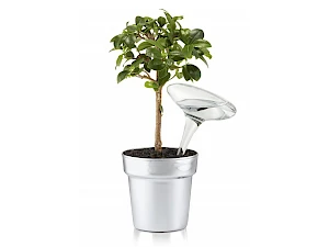 Kasteluvahti Balloon