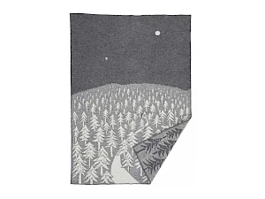 Villahuopa House in the Forest