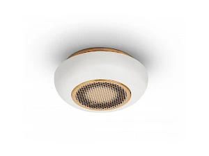 Palovaroitin Firephant