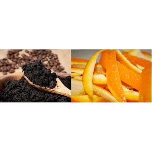 Orgaaninen palasaippua