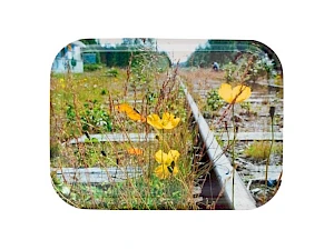 Kotimainen tarjotin omalla kuvalla