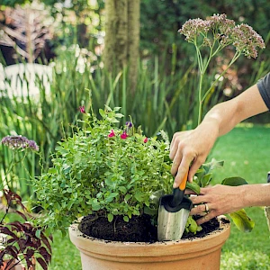 Fiskars Istutuslapio